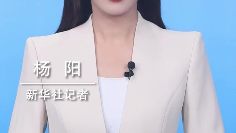 从一次模型部署失败看云端机器学习平台搭建的关键